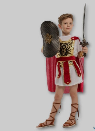 Fantasia Infantil de Pequeno Guerreiro